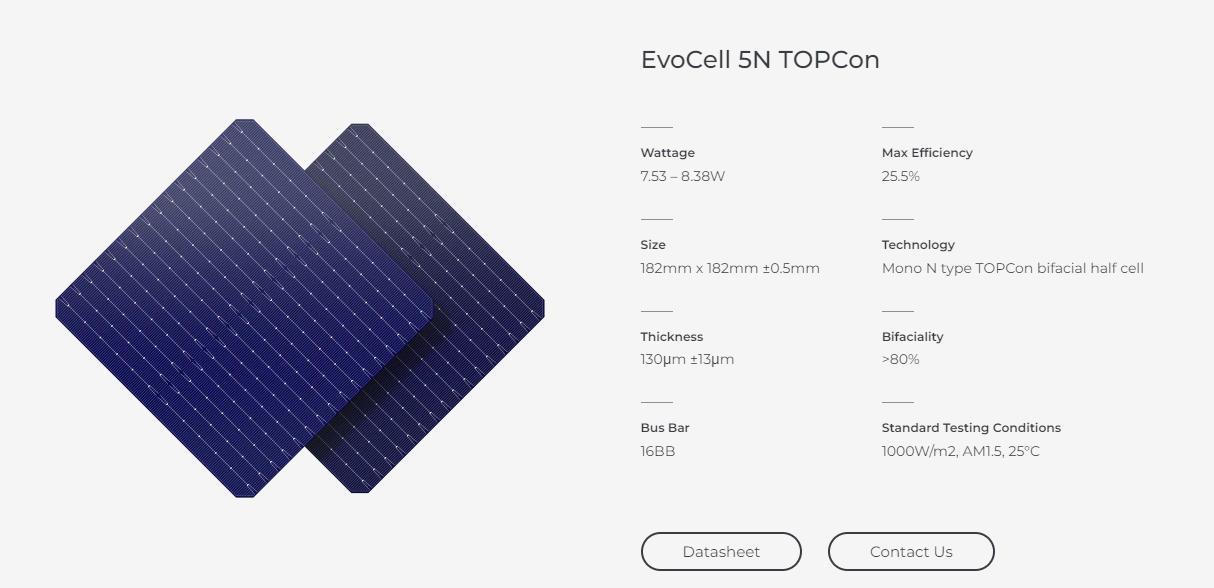 Topcon Solar Cells